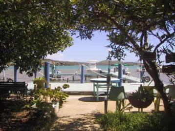 Tropical Garden