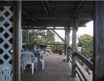 Deck of Uva de Mar and Amapola