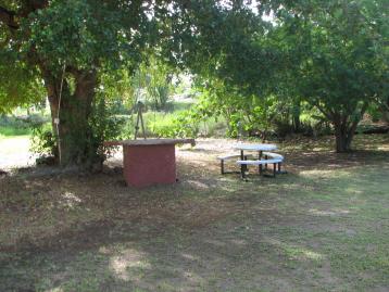 Yard/Patio areas- BBQ