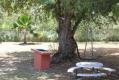 BackyardPatio